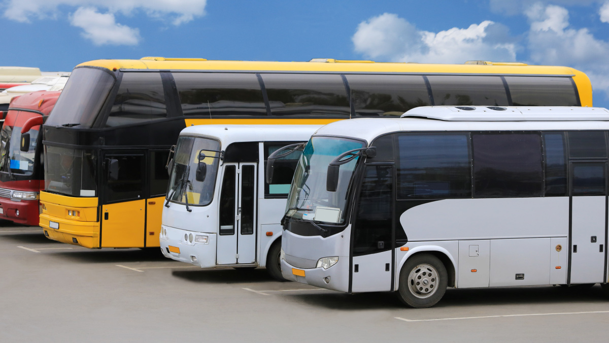 How to Choose the Right Bus Size for Your Team