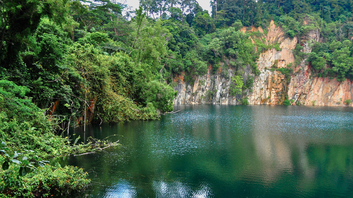 Book a Bus to Bukit Timah Nature Reserve for Corporate Team Building