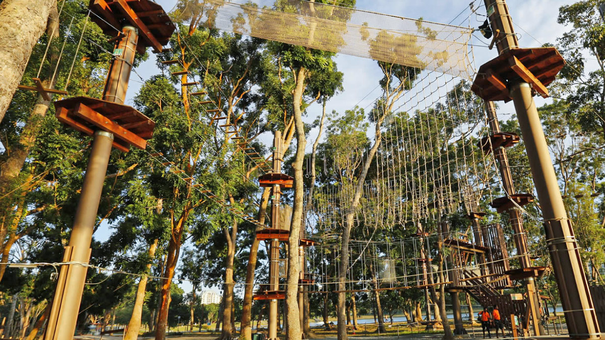 Book a Bus to Forest Adventure (Bedok Reservoir) for Team Building