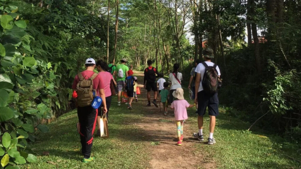 Book a Bus to Forest School Singapore for Corporate Team Retreats