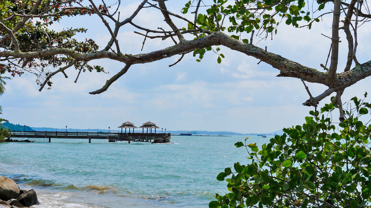 Book a Bus to Pulau Ubin (Chek Jawa) for Team Building