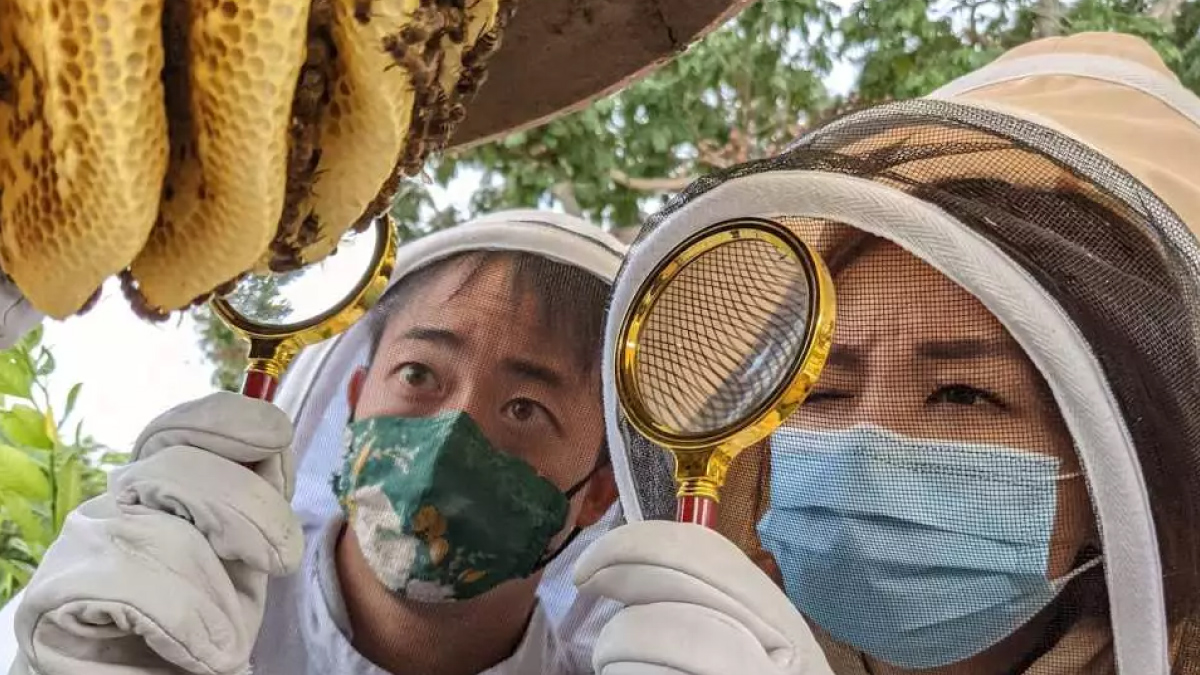 Book a Bus to The Sundowner Singapore for Corporate Team Building